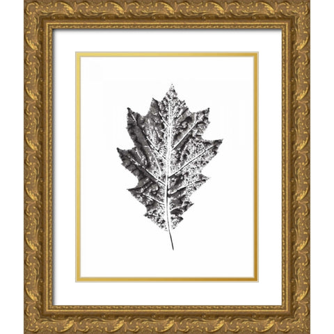 Harvest Sentiments VII BW no Words Gold Ornate Wood Framed Art Print with Double Matting by Hershey, Moira
