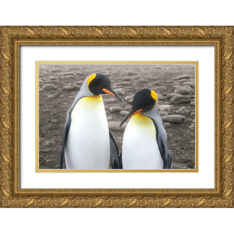Courting Gold Ornate Wood Framed Art Print with Double Matting by Wild Apple Portfolio