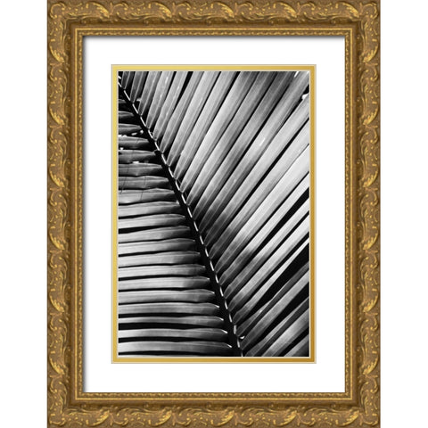 Palm Frond I Gold Ornate Wood Framed Art Print with Double Matting by Van Swearingen, Debra