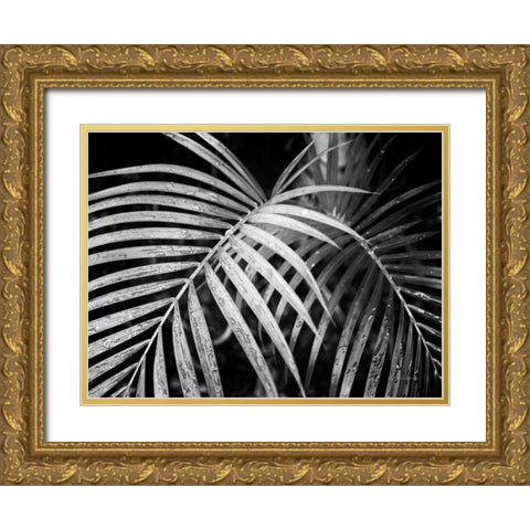 Palm Fronds Gold Ornate Wood Framed Art Print with Double Matting by Van Swearingen, Debra