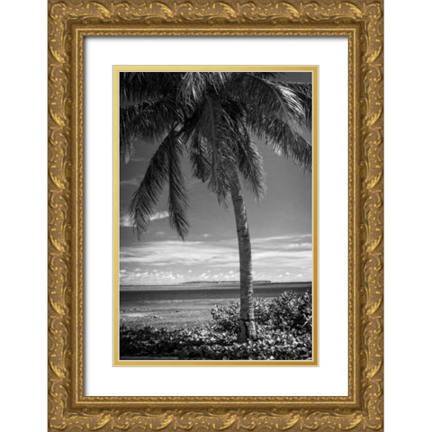 Ocean View Gold Ornate Wood Framed Art Print with Double Matting by Van Swearingen, Debra