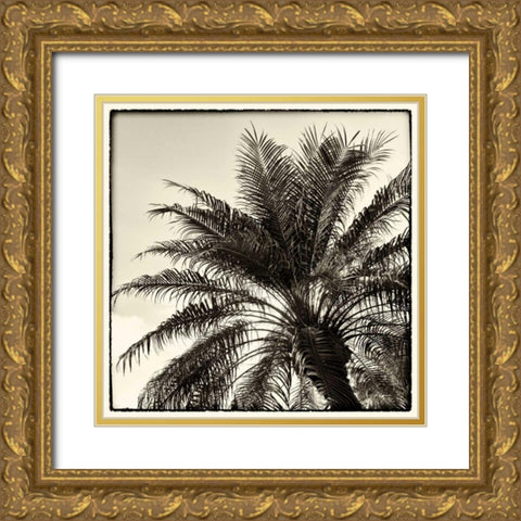 Palm Tree Sepia I Gold Ornate Wood Framed Art Print with Double Matting by Van Swearingen, Debra