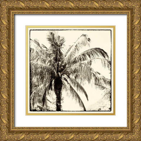 Palm Tree Sepia III Gold Ornate Wood Framed Art Print with Double Matting by Van Swearingen, Debra