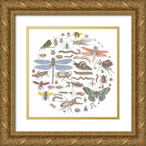 Insect Circle I Bright Gold Ornate Wood Framed Art Print with Double Matting by Wild Apple Portfolio