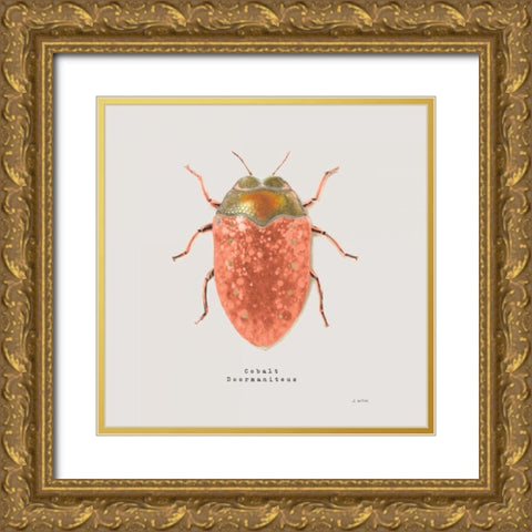 Adorning Coleoptera V Sq Camelia Gold Ornate Wood Framed Art Print with Double Matting by Wiens, James