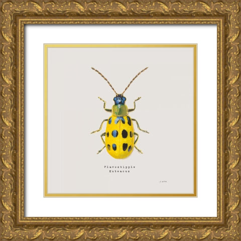 Adorning Coleoptera VII Sq Golden Gold Ornate Wood Framed Art Print with Double Matting by Wiens, James