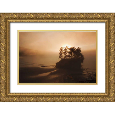 Last Light Gold Ornate Wood Framed Art Print with Double Matting by Marshall, Laura