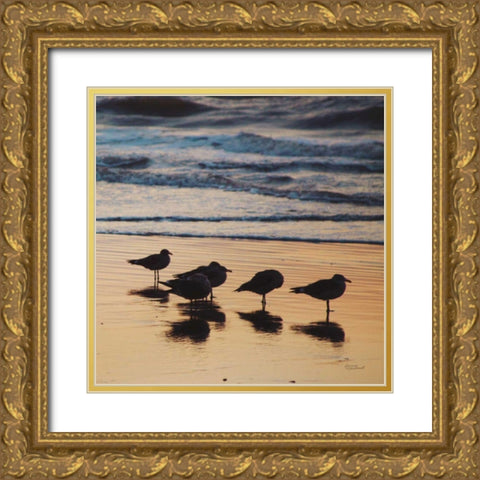 Kalaloch Birds II Gold Ornate Wood Framed Art Print with Double Matting by Marshall, Laura
