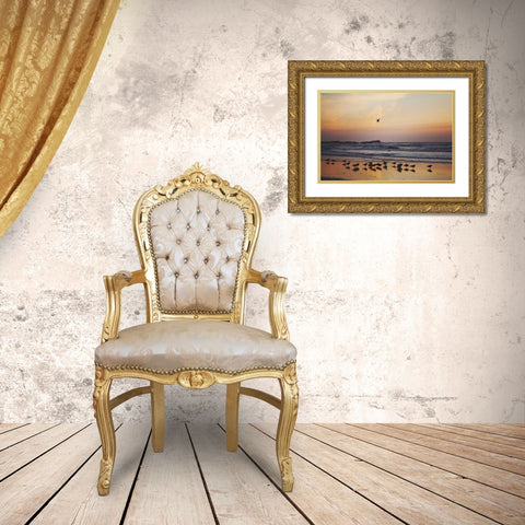 Kalaloch Birds III Gold Ornate Wood Framed Art Print with Double Matting by Marshall, Laura
