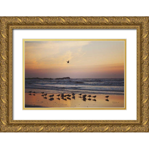 Kalaloch Birds III Gold Ornate Wood Framed Art Print with Double Matting by Marshall, Laura