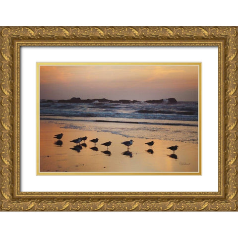 Kalaloch Birds IV Gold Ornate Wood Framed Art Print with Double Matting by Marshall, Laura