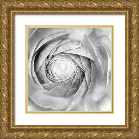 Ranunculus Abstract I BW Light Gold Ornate Wood Framed Art Print with Double Matting by Marshall, Laura