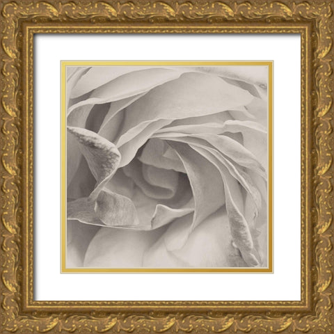 Georgia BW Gold Ornate Wood Framed Art Print with Double Matting by Bevan, Keri