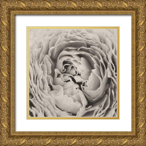 BW Peony Gold Ornate Wood Framed Art Print with Double Matting by Aledanda