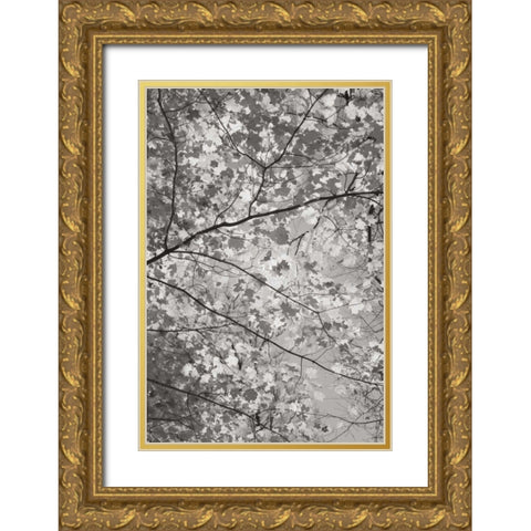 Foliage I Gold Ornate Wood Framed Art Print with Double Matting by Majchrowicz, Alan