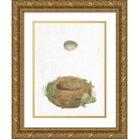 Spring Nest IV Gold Ornate Wood Framed Art Print with Double Matting by Wild Apple Portfolio