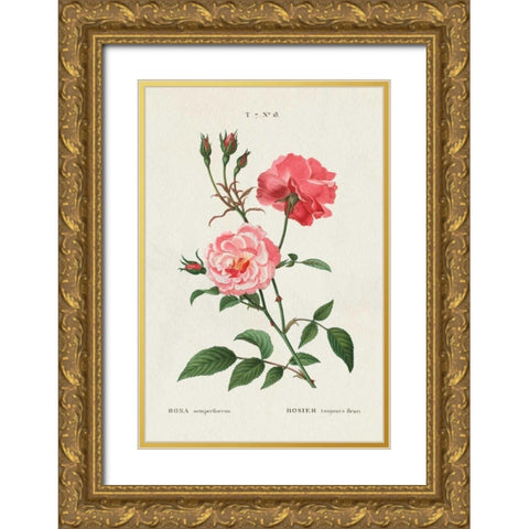 Rosa Gold Ornate Wood Framed Art Print with Double Matting by Wild Apple Portfolio