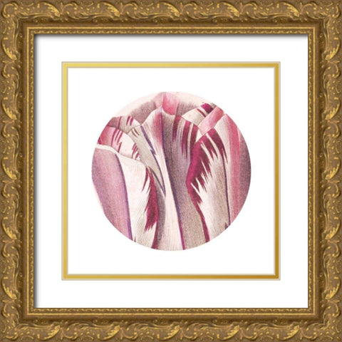 Tulips Circle Gold Ornate Wood Framed Art Print with Double Matting by Wild Apple Portfolio