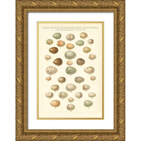Songbird Egg Chart Gold Ornate Wood Framed Art Print with Double Matting by Wild Apple Portfolio