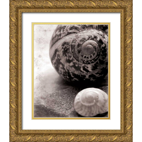 New Discoveries No Border Gold Ornate Wood Framed Art Print with Double Matting by Schlabach, Sue