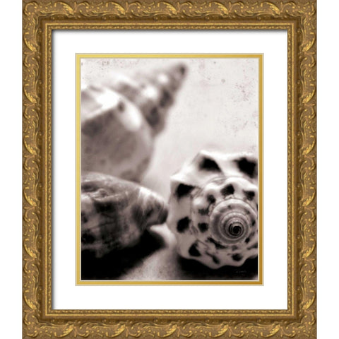 Beach Dreams Shells No Border Gold Ornate Wood Framed Art Print with Double Matting by Schlabach, Sue