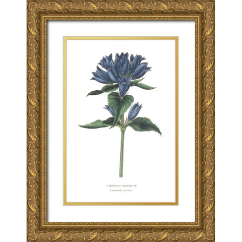 Campanula Bright Gold Ornate Wood Framed Art Print with Double Matting by Wild Apple Portfolio