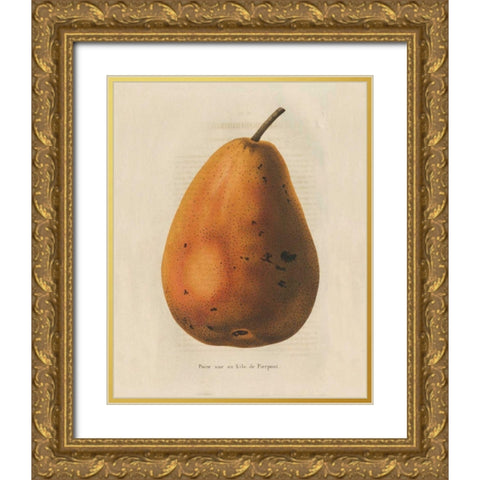 Pierpont v2 Gold Ornate Wood Framed Art Print with Double Matting by Wild Apple Portfolio