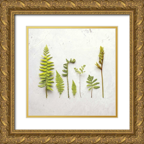 Flat Lay Ferns III Gold Ornate Wood Framed Art Print with Double Matting by Bradley, Felicity