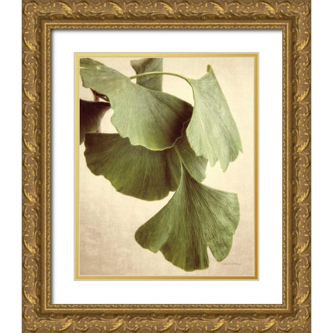 Gingko Color Gold Ornate Wood Framed Art Print with Double Matting by Van Swearingen, Debra