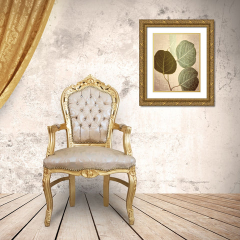Eucalyptus Color Gold Ornate Wood Framed Art Print with Double Matting by Van Swearingen, Debra