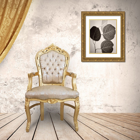 Eucalyptus Sepia Gold Ornate Wood Framed Art Print with Double Matting by Van Swearingen, Debra