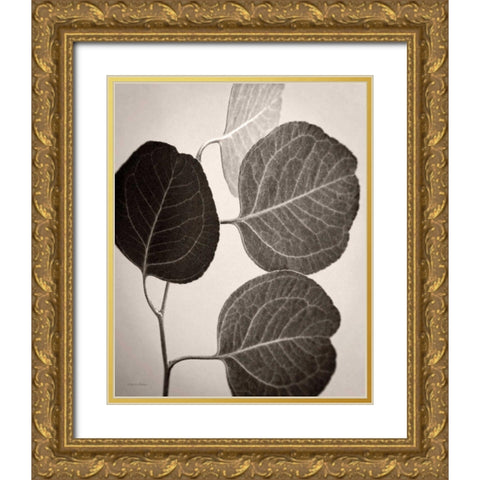 Eucalyptus Sepia Gold Ornate Wood Framed Art Print with Double Matting by Van Swearingen, Debra