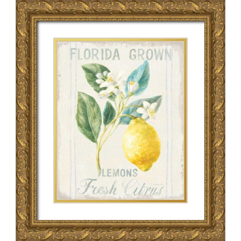 Floursack Lemon I Gold Ornate Wood Framed Art Print with Double Matting by Nai, Danhui