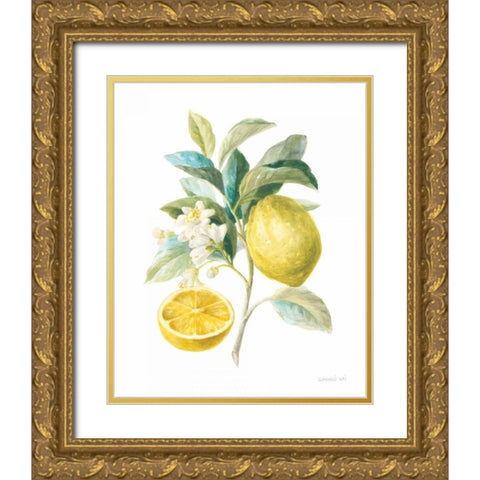 Floursack Lemon III on White Gold Ornate Wood Framed Art Print with Double Matting by Nai, Danhui