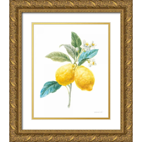 Floursack Lemon IV on White Gold Ornate Wood Framed Art Print with Double Matting by Nai, Danhui