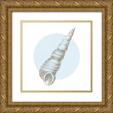 Conchology Sketches I Gold Ornate Wood Framed Art Print with Double Matting by Wild Apple Portfolio