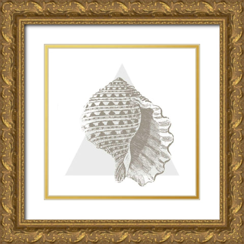 Conchology Sketches III Gold Ornate Wood Framed Art Print with Double Matting by Wild Apple Portfolio