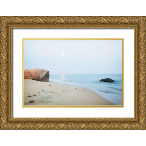 Coastal Rocks Gold Ornate Wood Framed Art Print with Double Matting by Aledanda