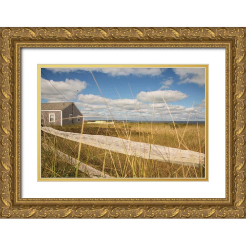 The Cottage Gold Ornate Wood Framed Art Print with Double Matting by Aledanda