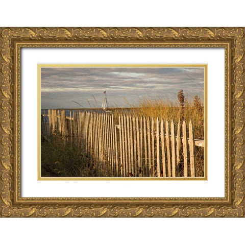 Along the Fence I Gold Ornate Wood Framed Art Print with Double Matting by Aledanda