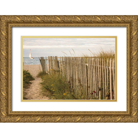 Along the Fence II Gold Ornate Wood Framed Art Print with Double Matting by Aledanda