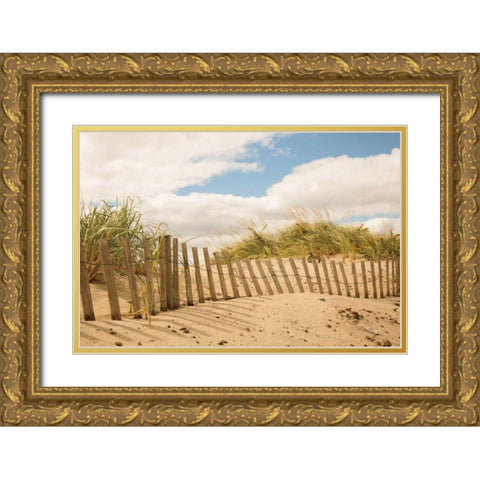 Beach Dunes I Gold Ornate Wood Framed Art Print with Double Matting by Aledanda