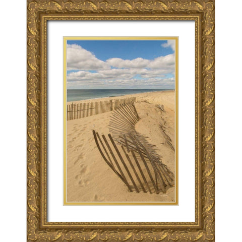 Beach Dunes II Gold Ornate Wood Framed Art Print with Double Matting by Aledanda