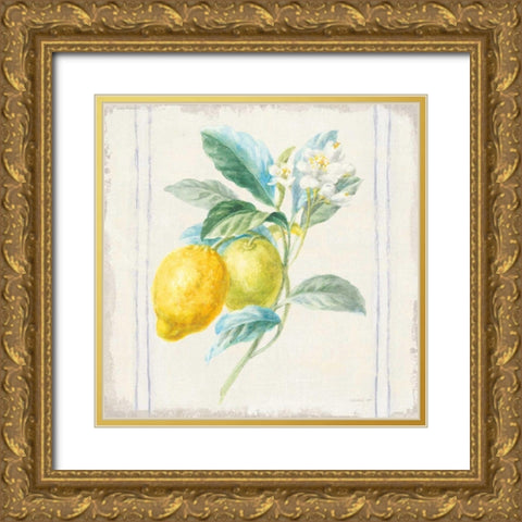 Floursack Lemons II Sq Navy Gold Ornate Wood Framed Art Print with Double Matting by Nai, Danhui