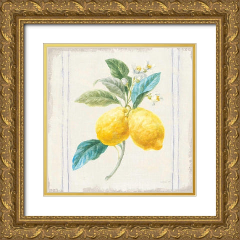 Floursack Lemons III Sq Navy Gold Ornate Wood Framed Art Print with Double Matting by Nai, Danhui