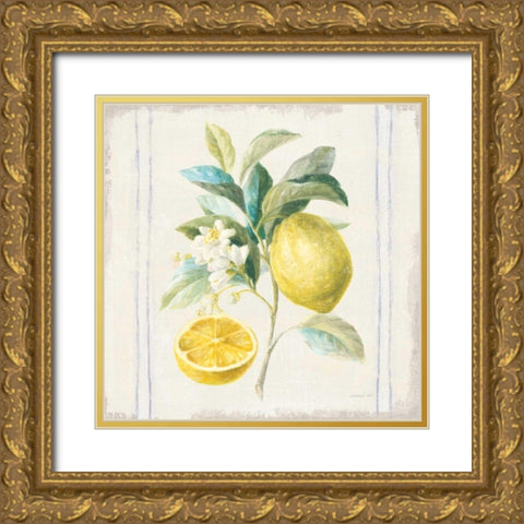 Floursack Lemons IV Sq Navy Gold Ornate Wood Framed Art Print with Double Matting by Nai, Danhui