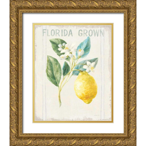 Floursack Lemon I v2 Gold Ornate Wood Framed Art Print with Double Matting by Nai, Danhui