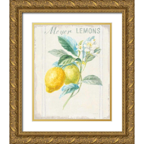 Floursack Lemon II v2 Gold Ornate Wood Framed Art Print with Double Matting by Nai, Danhui