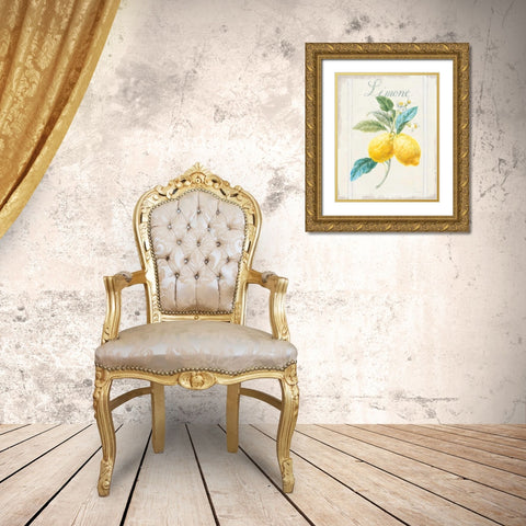 Floursack Lemon III v2 Gold Ornate Wood Framed Art Print with Double Matting by Nai, Danhui