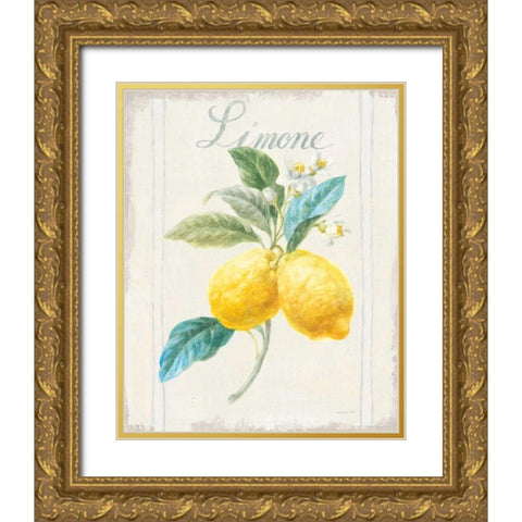 Floursack Lemon III v2 Gold Ornate Wood Framed Art Print with Double Matting by Nai, Danhui